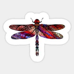 Ornate Dragon Fly Colorful Insect Illustration Sticker